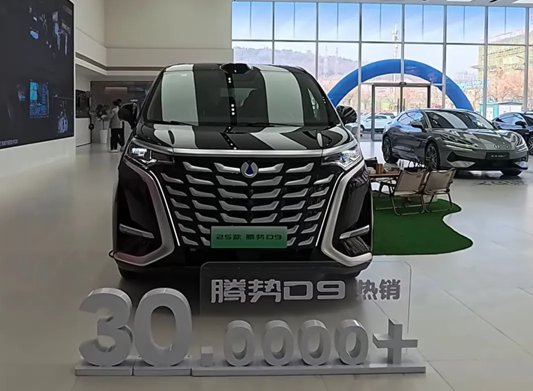 Denza D9 – dane i import FutureMotors